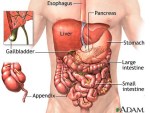 left-side-abdomen-stomach-pain