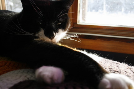 ©2012 Musings of the Amusing Muse - Alex