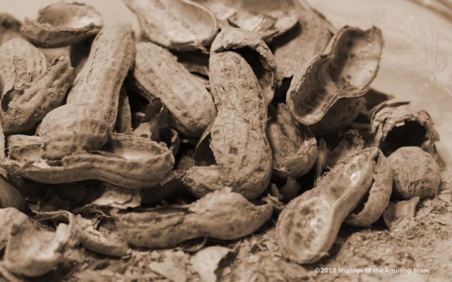 ©2013 Musings of the Amusing Muse