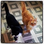 Helpers... or beggars?