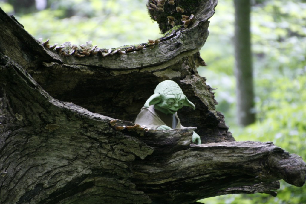 Oh great and wise Yoda, show us the way.