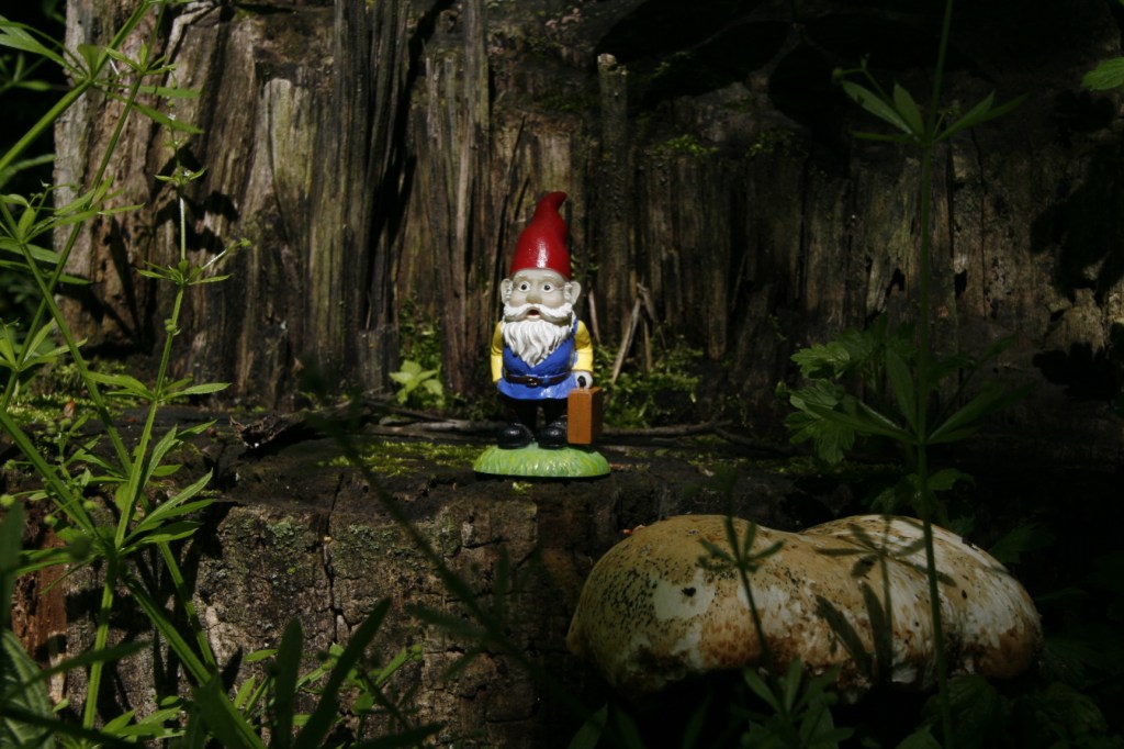 Cedric the Roaming Gnome, "Look at this giant shelf fungus!"