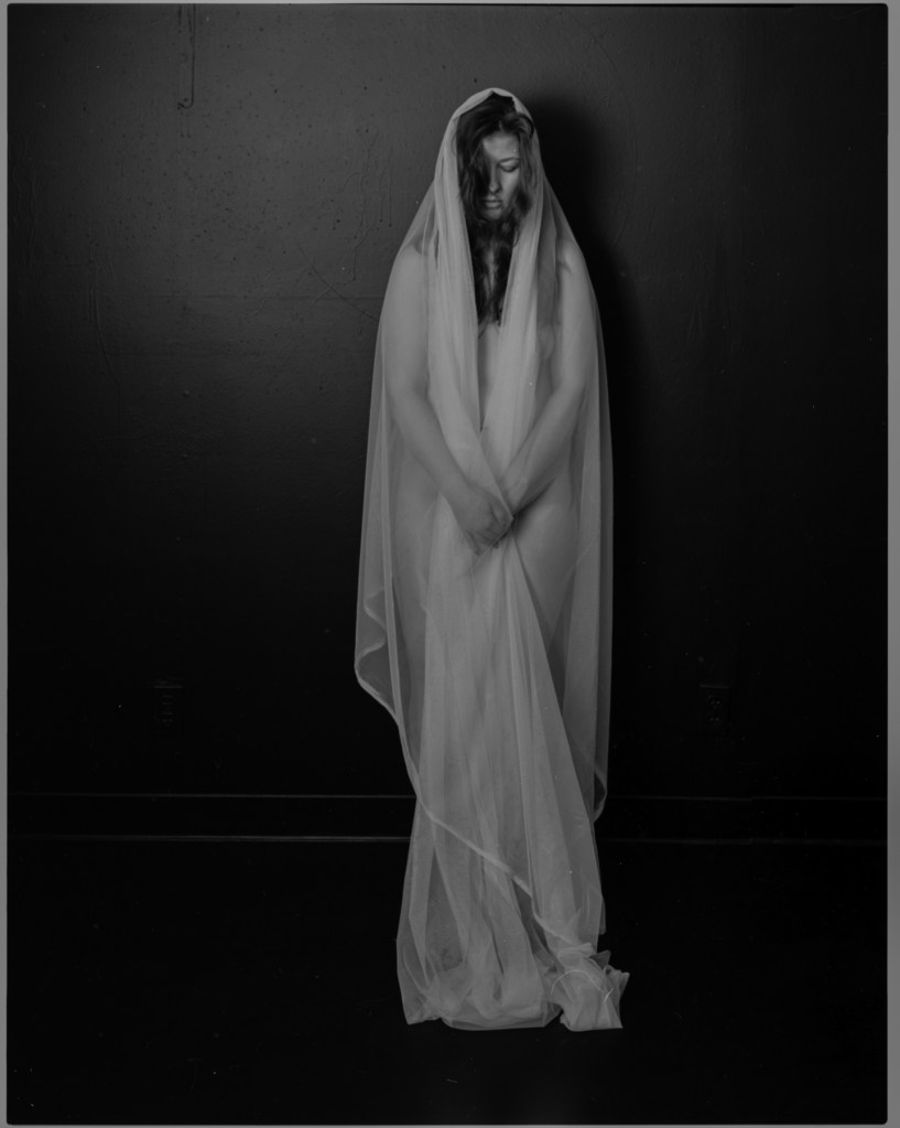 2014 William Zuback Photographs