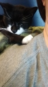 Alex, keeping a pulse on the situation.